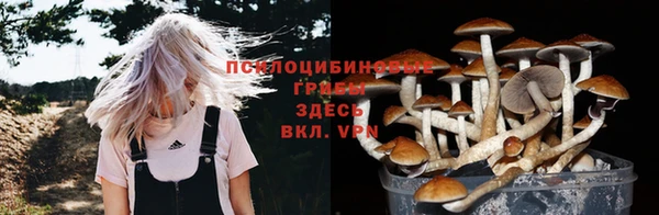 твердый Пролетарск